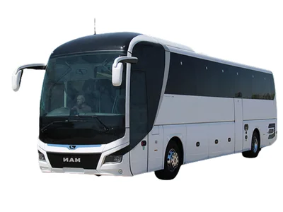 Man Lions Chauffeured Rental
